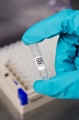 Laboratory_Labels_app4.jpg