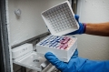 Freezerbondz-Cryo-Freezer-Lab-App6.jpg