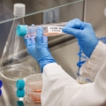 Flasks_Lab-App1-sq (1).jpg